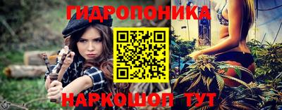 a pvp Можга