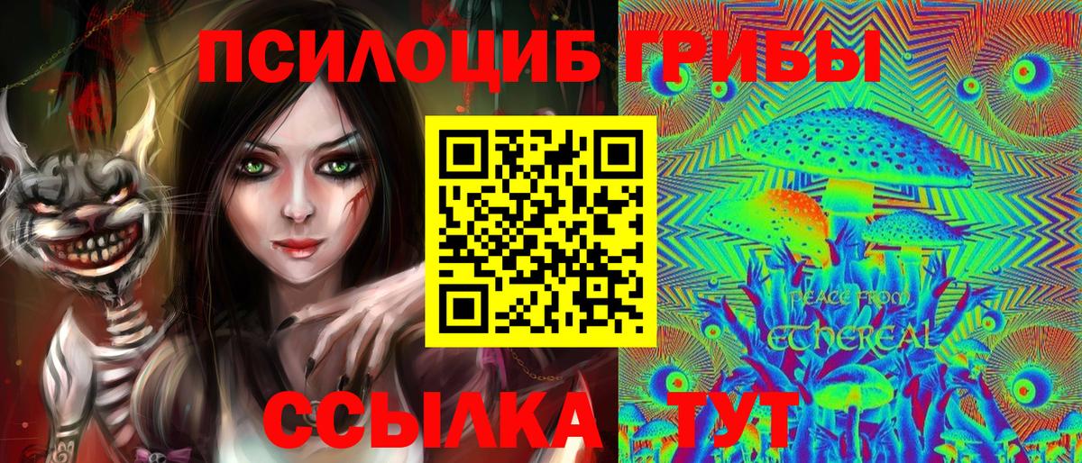 Галлюциногенные грибы MAGIC MUSHROOMS  Вход с VPN  магазин    Гурьевск 