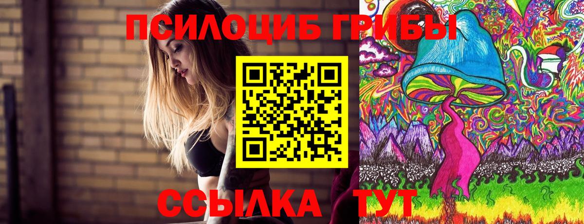 Псилоцибиновые грибы мицелий Гурьевск